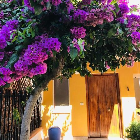 Le Stanze Di Botticelli Bed & Breakfast Termoli Dış mekan fotoğraf