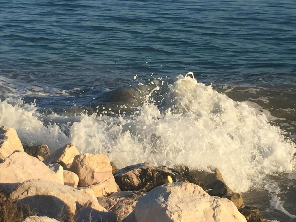 Le Stanze Di Botticelli Bed & Breakfast Termoli Dış mekan fotoğraf