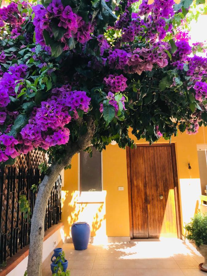Le Stanze Di Botticelli Bed & Breakfast Termoli Dış mekan fotoğraf